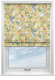 Iquitos, Brights - Roman Blind
